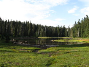 Deer Lake.
